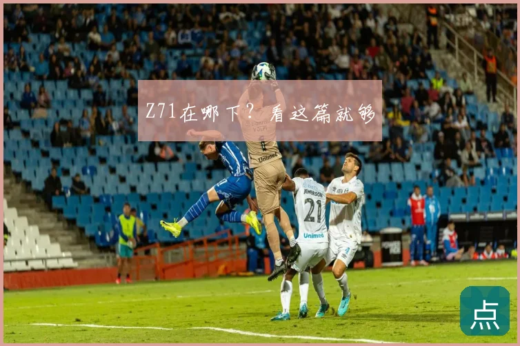 Z71在哪下？看这篇就够